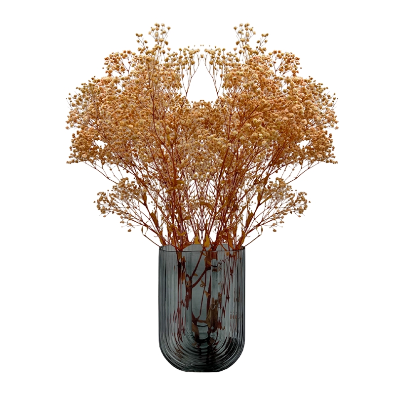Bergamo Art Bundle of 4 Preserved Gypsophila Baby's Breath 24