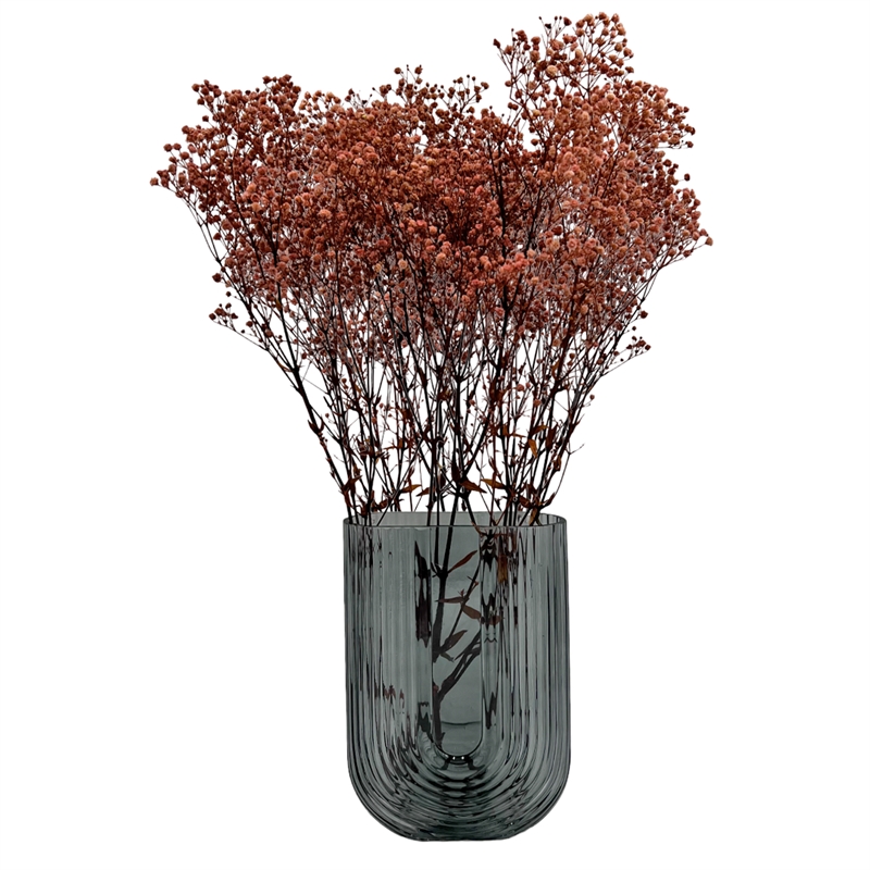 Bergamo Art Bundle of 4 Preserved Gypsophila Baby's Breath 24