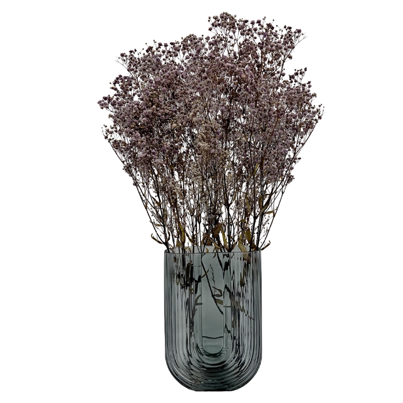 Bergamo Art Bundle of 4 Preserved Gypsophila Baby's Breath 24
