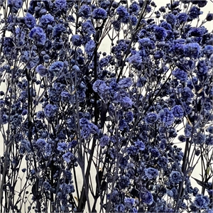 Bergamo Art Bundle of 4 Preserved Gypsophila Baby's Breath 24&quot long in Blue