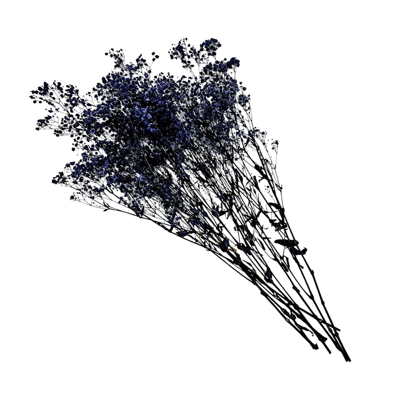 Bergamo Art Bundle of 4 Preserved Gypsophila Baby's Breath 24
