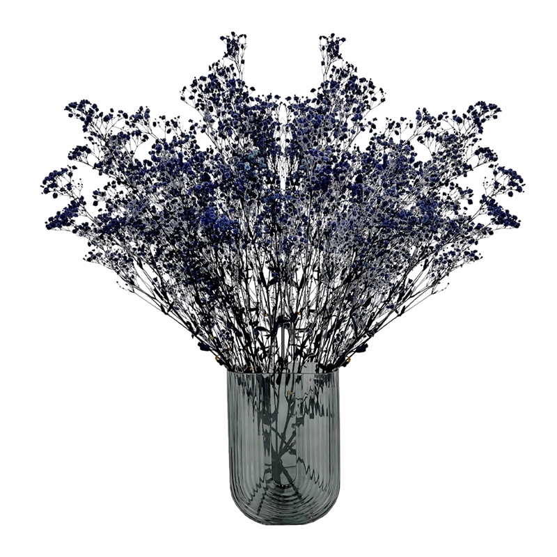 Bergamo Art Bundle of 4 Preserved Gypsophila Baby's Breath 24