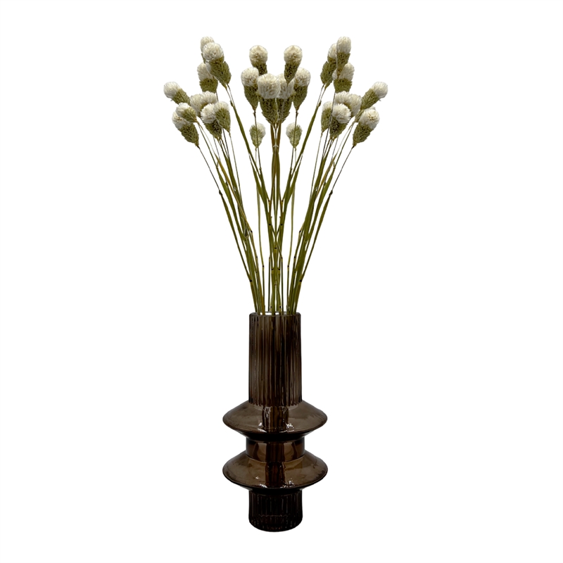 Bergamo Art Bundle of 4 Dried Gomphrena Globosa  22-24