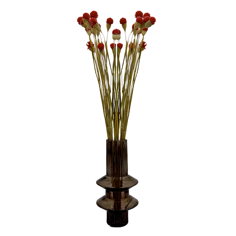 Bergamo Art Bundle of 4 Dried Gomphrena Globosa 22-24