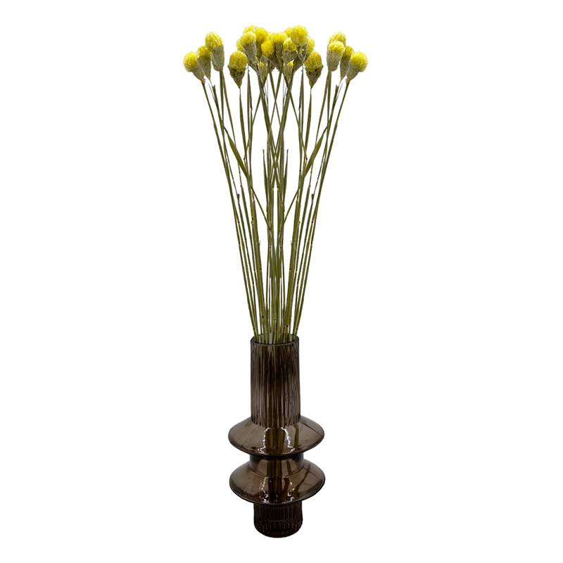 Bergamo Art Bundle of 4 Dried Gomphrena Globosa 22-24