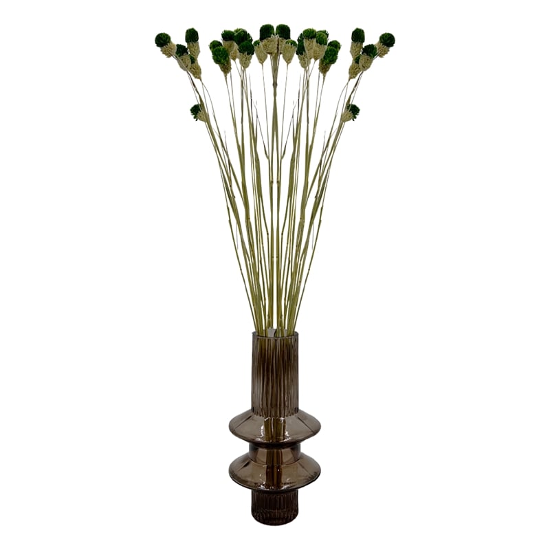 Bergamo Art Bundle of 4 Dried Gomphrena Globosa 22-24
