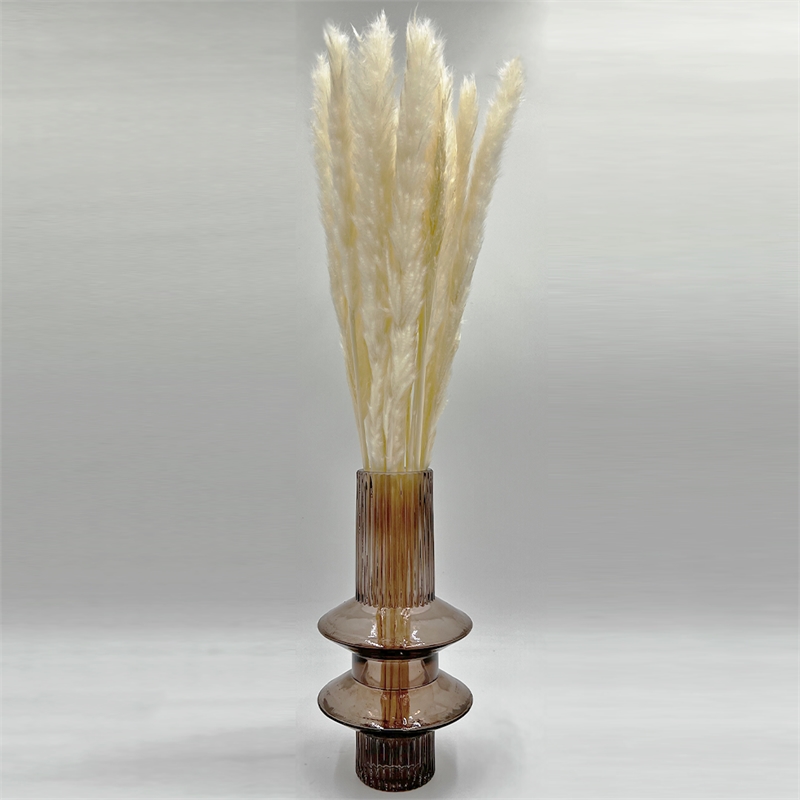 Bergamo Art Bundle of 4 Preserved Flowers Small Pampass Grass 20