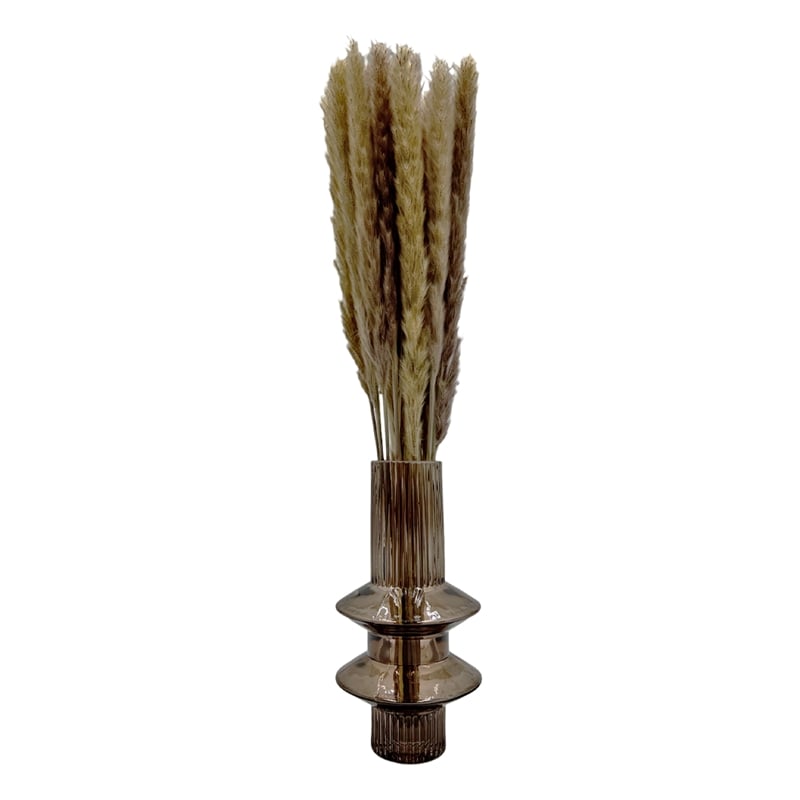 Bergamo Art Bundle of 4 Preserved Flowers Small Pampass Grass 20