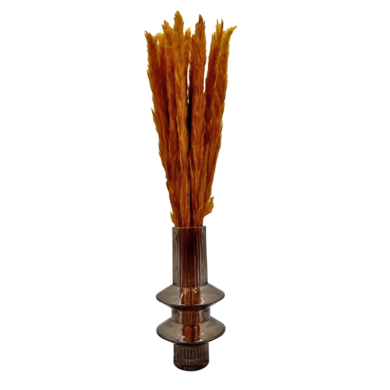 Bergamo Art Bundle of 4 Preserved Flowers Small Pampass Grass 20