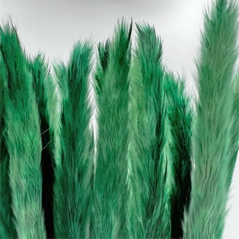 Bergamo Art Bundle of 4 Preserved Flowers Small Pampass Grass 20