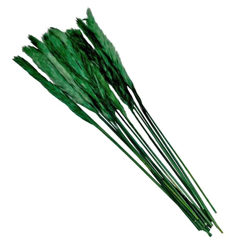 Bergamo Art Bundle of 4 Preserved Flowers Small Pampass Grass 20