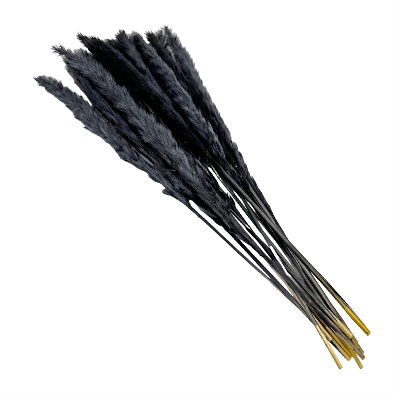 Bergamo Art Bundle of 4 Preserved Flowers Small Pampass Grass 20