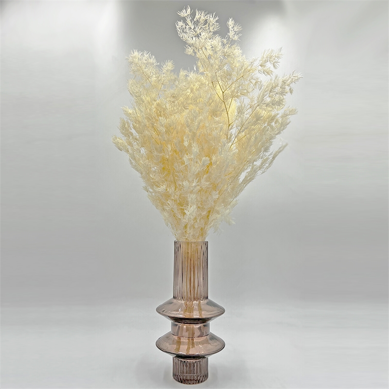 Bergamo Art Bundle of 4 Preserved Asparagus Fern 12-20 inches long in White