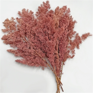 Bergamo Art Bundle of 4 Preserved Asparagus Fern 12-20 inches long in Pink
