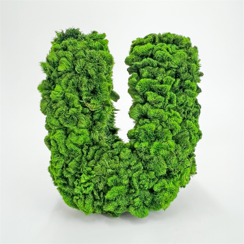 I Heart / Love You  Preserved Bowl Filler Set Romantic Floral Decor- Green Red