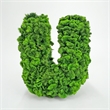 I Heart / Love You  Preserved Bowl Filler Set Romantic Floral Decor- Green Red