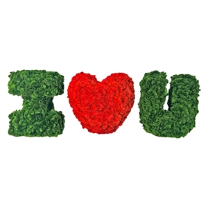I Heart / Love You  Preserved Bowl Filler Set Romantic Floral Decor- Green Red