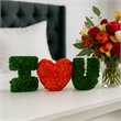 I Heart / Love You  Preserved Bowl Filler Set Romantic Floral Decor- Green Red