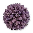 Handmade Preserved Topiary Balls Set of 6 Decorative Floral Orbs