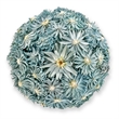 Handmade Preserved Topiary Balls Set of 6 Decorative Floral Orbs