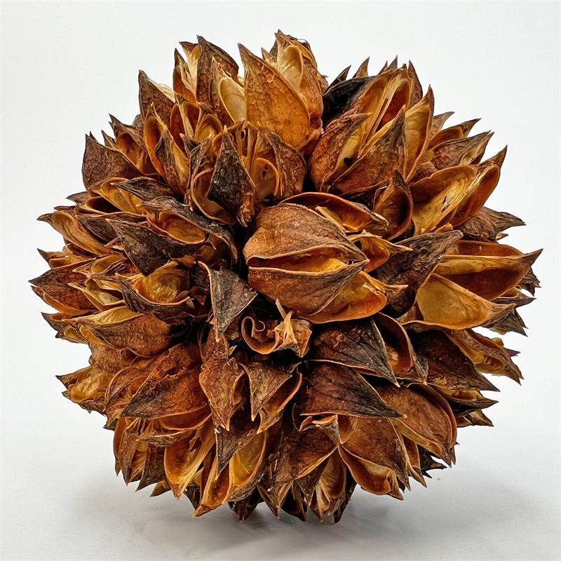 Handmade Natural & Preserved Topiary Balls Bowl Filler Orbs In Brown Set Of 6