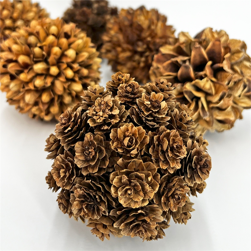 Handmade Natural & Preserved Topiary Balls Bowl Filler Orbs In Brown Set Of 6