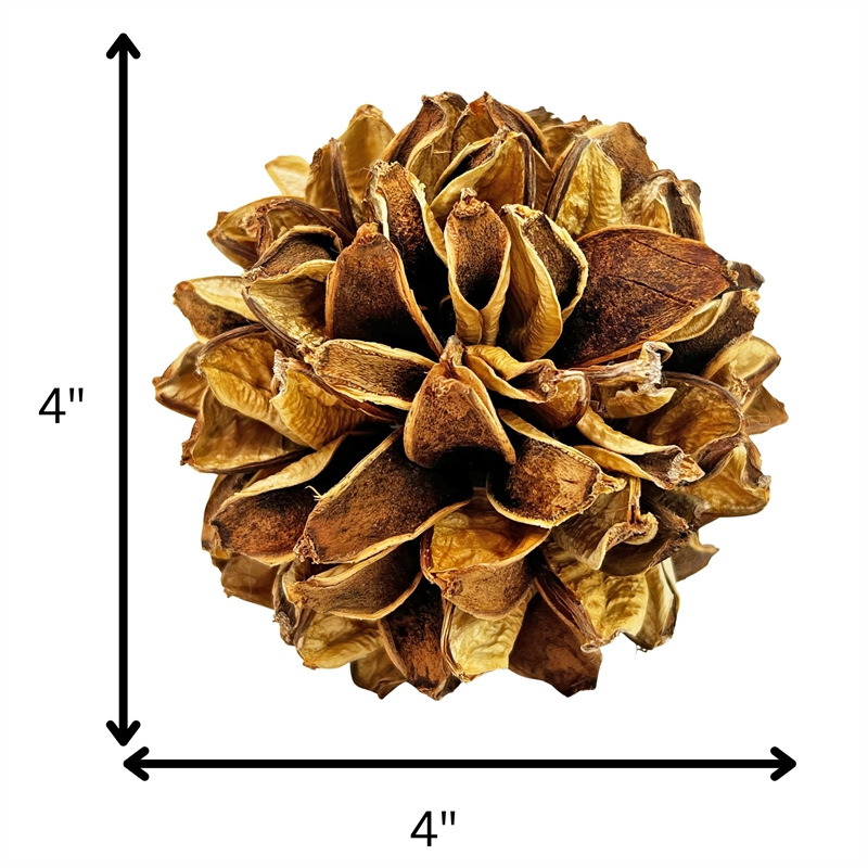 Handmade Natural & Preserved Topiary Balls Bowl Filler Orbs In Brown Set Of 6