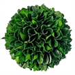 Handmade Preserved Topiary Balls Set of 6 Decorative Floral Orbs