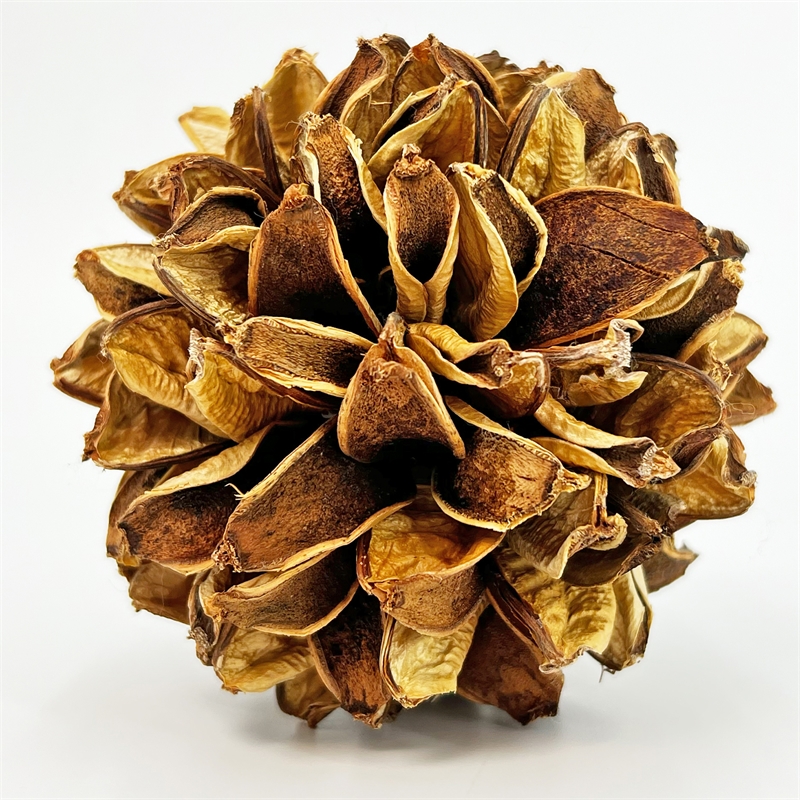 Handmade Preserved Topiary Balls Set of 9 Decorative Floral Orbs