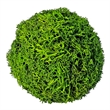 Handmade Preserved Topiary Balls Set of 9 Decorative Floral Orbs