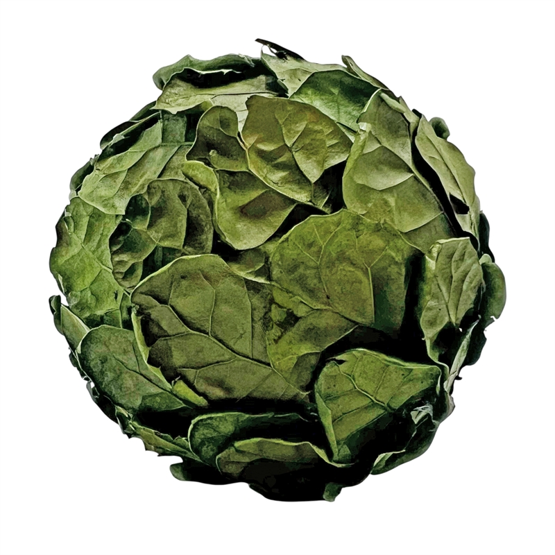 Handmade Preserved Topiary Balls Set of 9 Decorative Floral Orbs