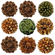 Handmade Preserved Topiary Balls Set of 9 Decorative Floral Orbs