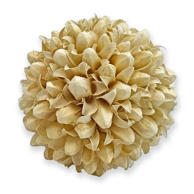 Handmade Preserved Topiary Balls Set of 9 Decorative Floral Orbs