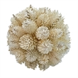 Handmade Preserved Topiary Balls Set of 9 Decorative Floral Orbs