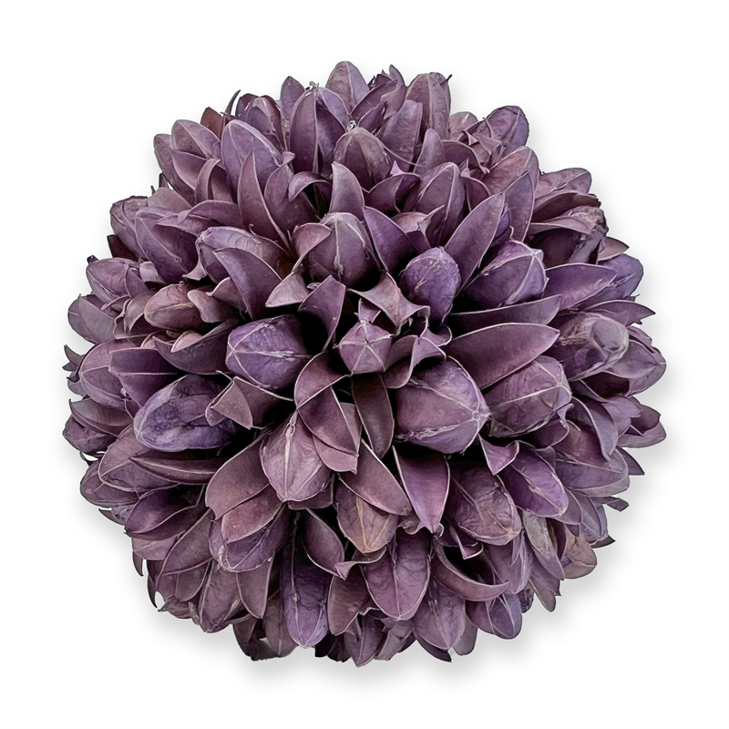 Handmade Preserved Topiary Balls Set of 9 Decorative Floral Orbs