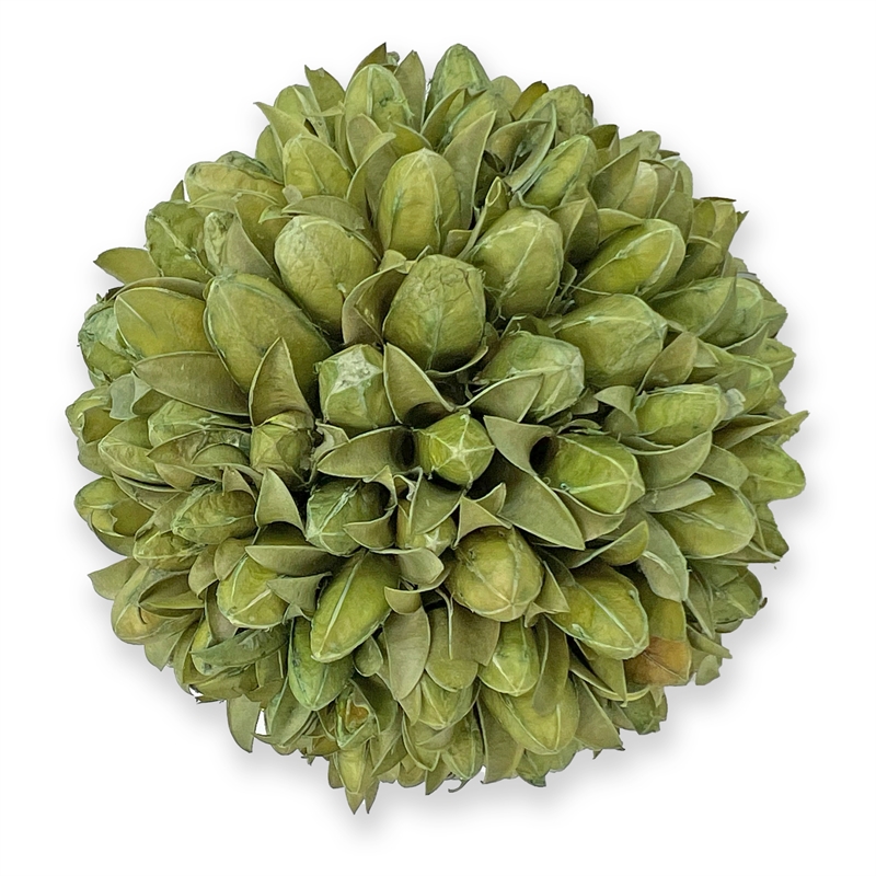 Handmade Preserved Topiary Balls Set of 9 Decorative Floral Orbs