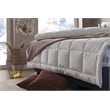 Duvetta Natural Cotton Comforter with Cotton Fabric Cover All Season Twin Size
