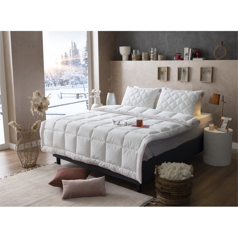 Duvetta Natural Cotton Comforter with Cotton Fabric Cover All Season Twin Size