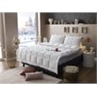Duvetta Natural Cotton Comforter with Cotton Fabric Cover All Season Twin Size