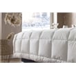 Duvetta Natural Cotton Comforter with Cotton Fabric Cover All Season Twin Size