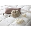 Duvetta Natural Cotton Comforter with Cotton Fabric Cover All Season Twin Size