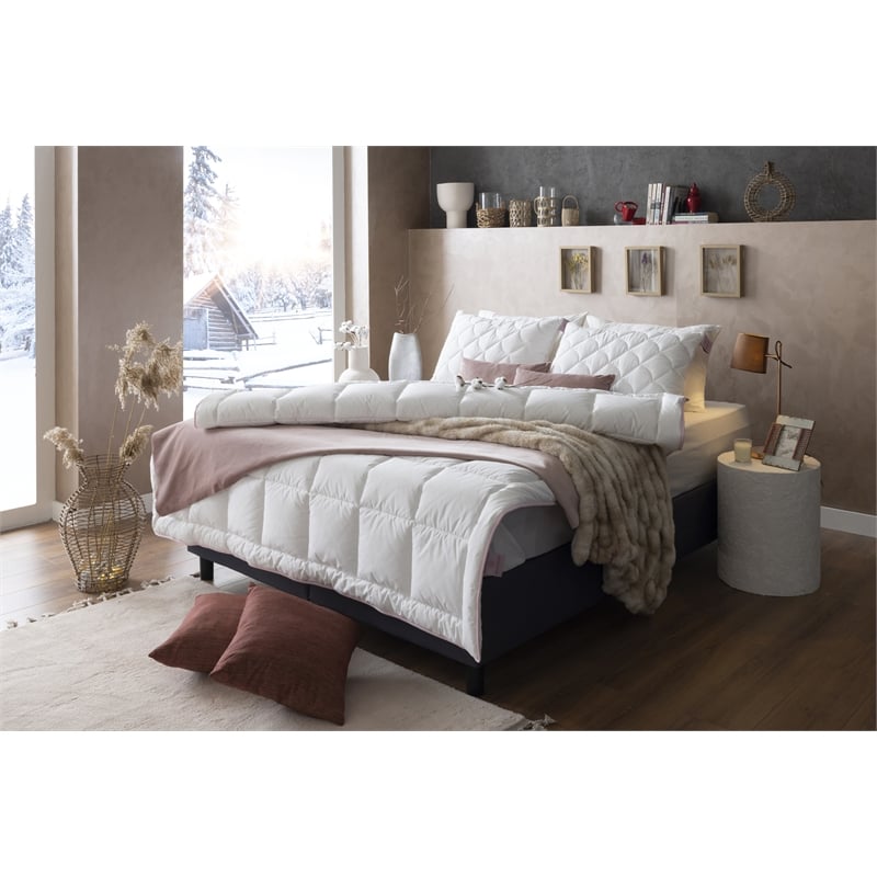 Duvetta Natural Cotton Comforter with Cotton Fabric Cover All Season Twin Size