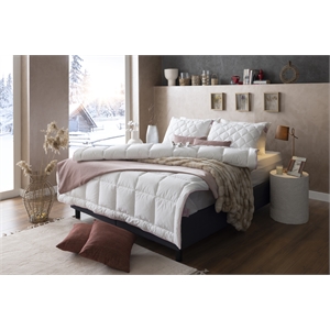 Duvetta Natural Cotton Comforter with Cotton Fabric Cover All Season Twin Size