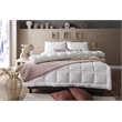 Duvetta Natural Cotton Comforter with Cotton Fabric Cover All Season Queen Size