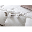 Duvetta Natural Cotton Comforter with Cotton Fabric Cover All Season Queen Size