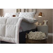 Duvetta Natural Cotton Comforter with Cotton Fabric Cover All Season Queen Size