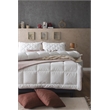 Duvetta Natural Cotton Comforter with Cotton Fabric Cover All Season King Size