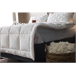 Duvetta Natural Cotton Comforter with Cotton Fabric Cover All Season King Size