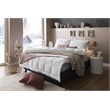 Duvetta Natural Cotton Comforter with Cotton Fabric Cover All Season King Size