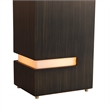 Zen Standing Table Lamp - Gilded Ebony Wood Finish